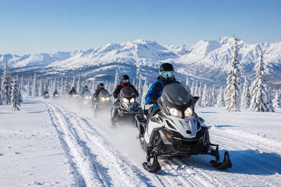 Winter Snow Safari Experiences
